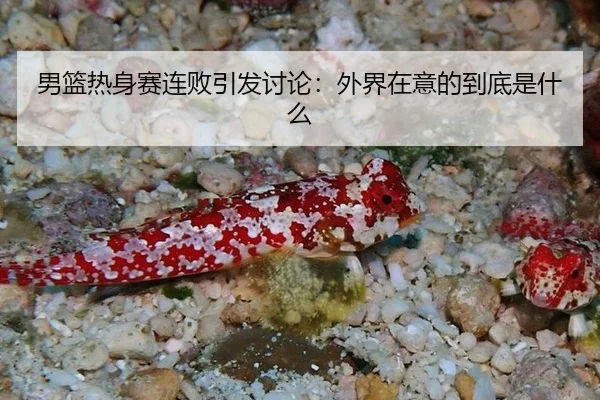 男篮热身赛连败引发讨论：外界在意的到底是什么